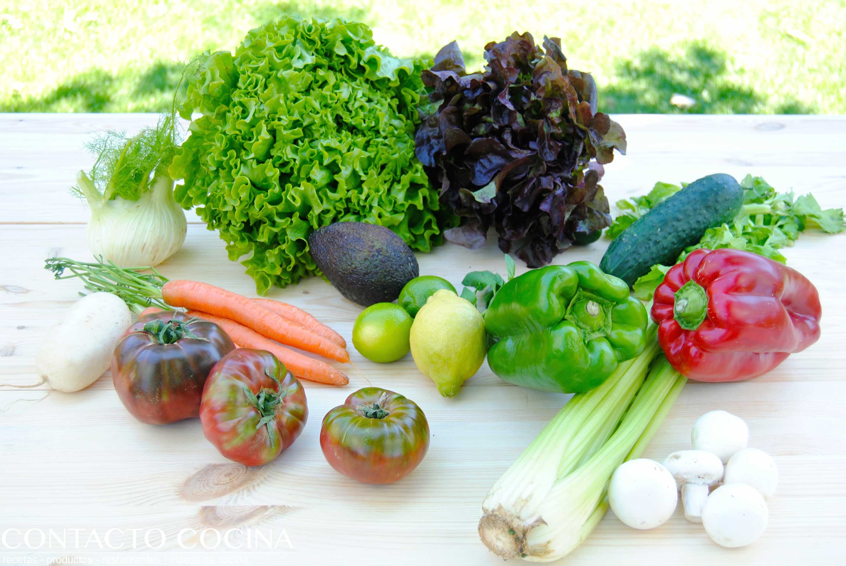 IDEAS PARA ENSALADAS, INGREDIENTES Y CARACTERÍSTICAS